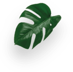 Genio S BY KRUPS® Basic Siva  decoration Image